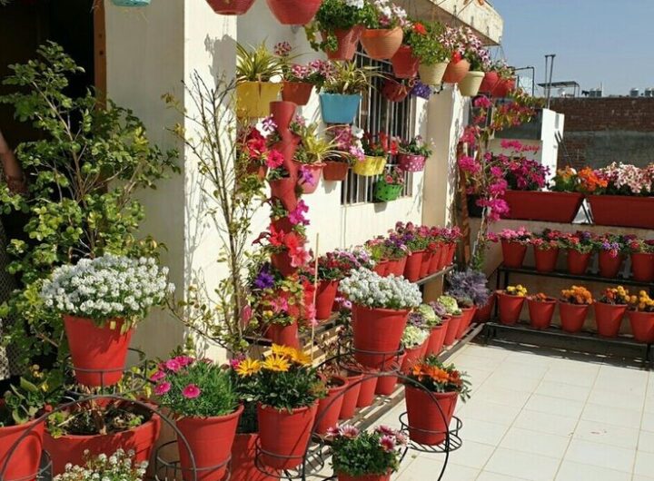 Terrace Decoration Decadgarden from Decoratoradvice